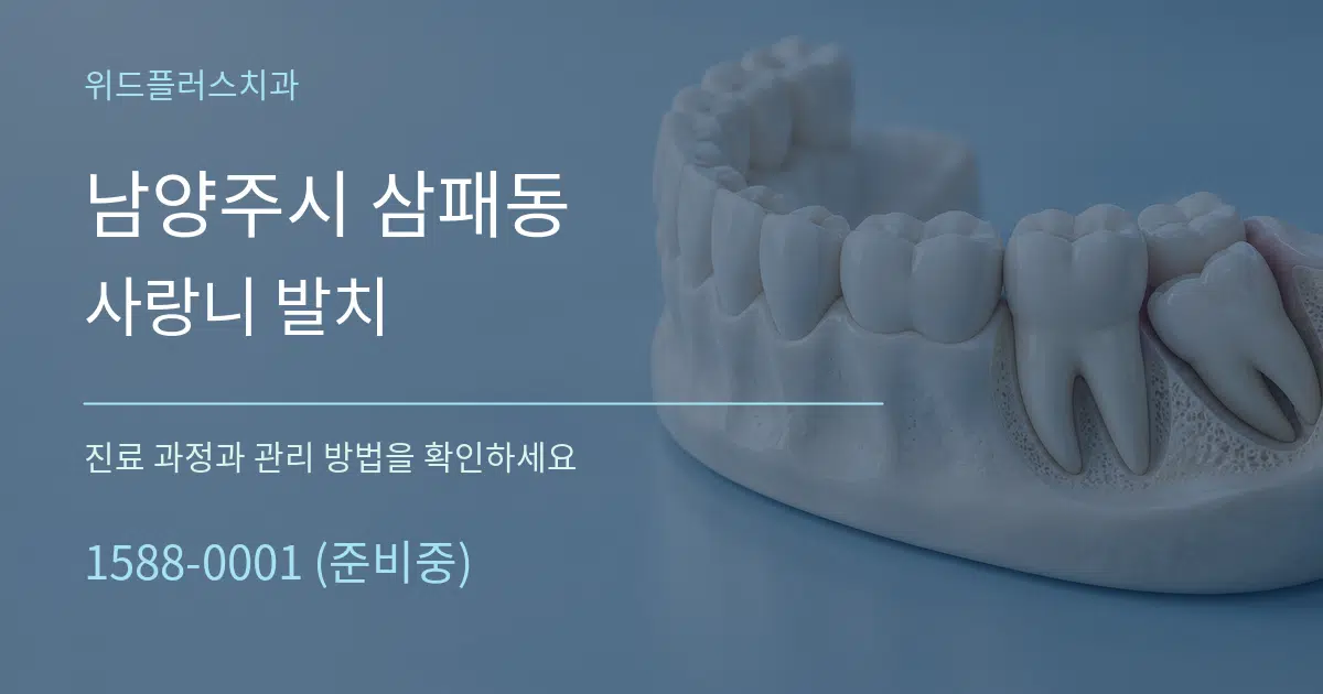 남양주시 삼패동 사랑니 발치 서비스 이용 안내 그래픽