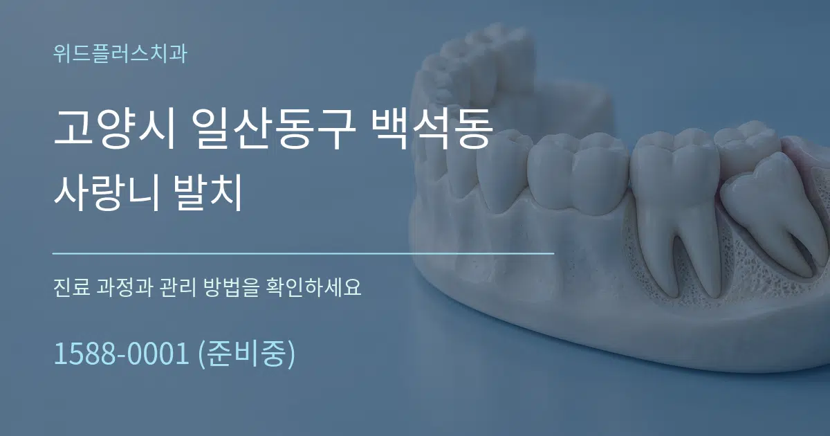 고양시 일산동구 백석동 사랑니 발치 작업 조건 안내 그래픽