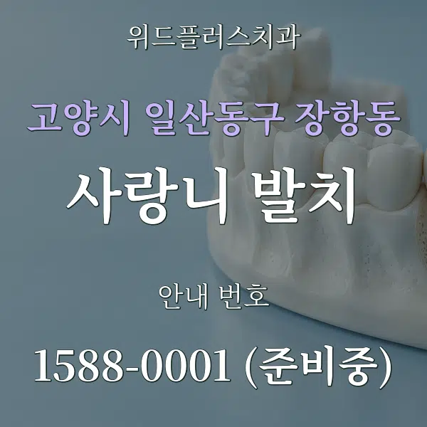 고양시 일산동구 장항동 사랑니 발치 대표 안내 그래픽