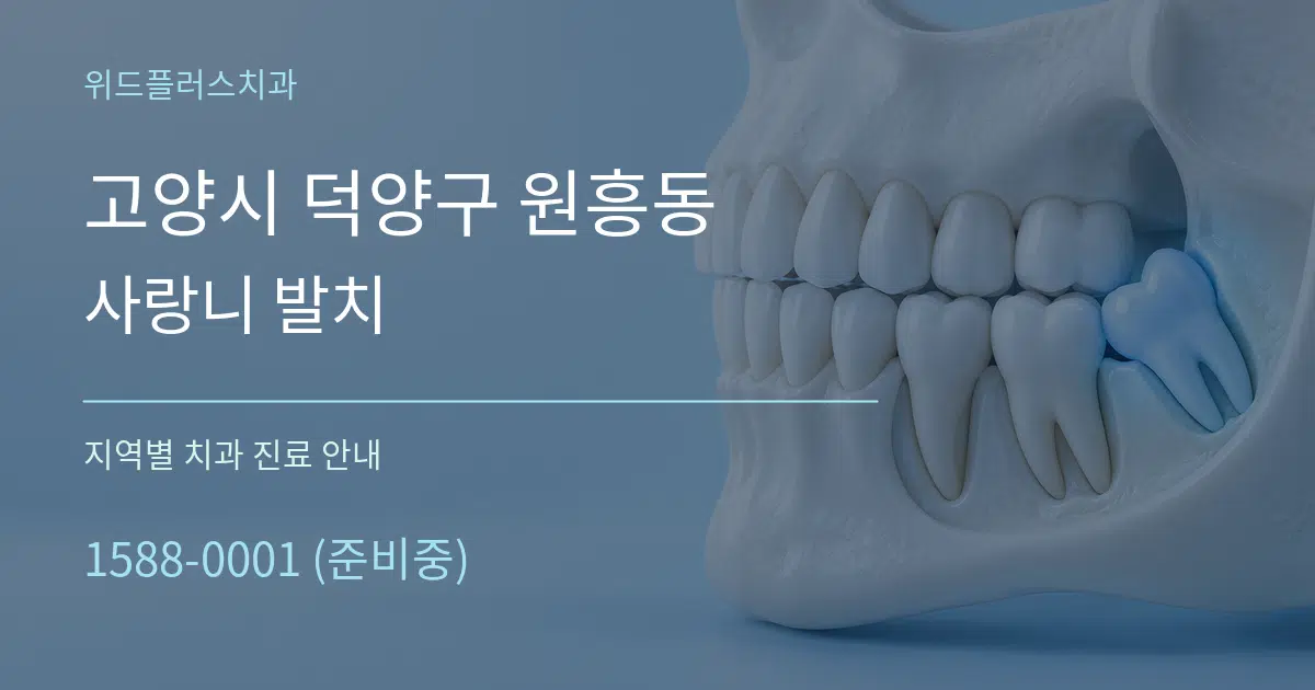 고양시 덕양구 원흥동 사랑니 발치 대표 안내 그래픽