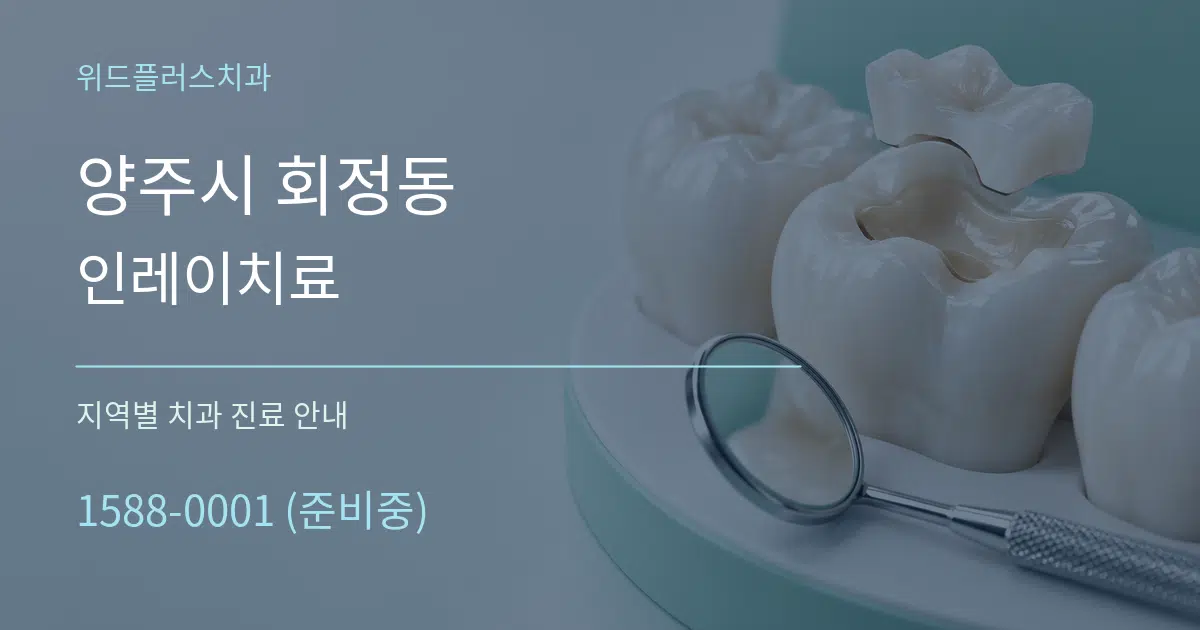 양주시 회정동 인레이치료 대표 안내 그래픽