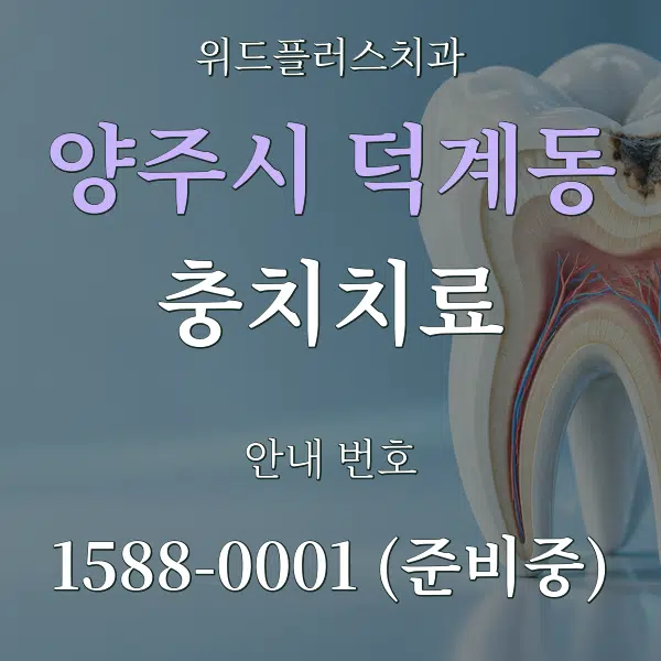 양주시 덕계동 충치치료 대표 안내 그래픽
