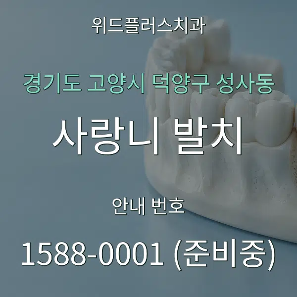 경기도 고양시 덕양구 성사동 사랑니 발치 대표 안내 그래픽