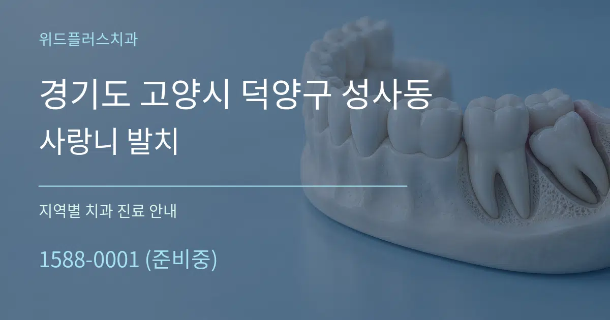 경기도 고양시 덕양구 성사동 사랑니 발치 대표 안내 그래픽