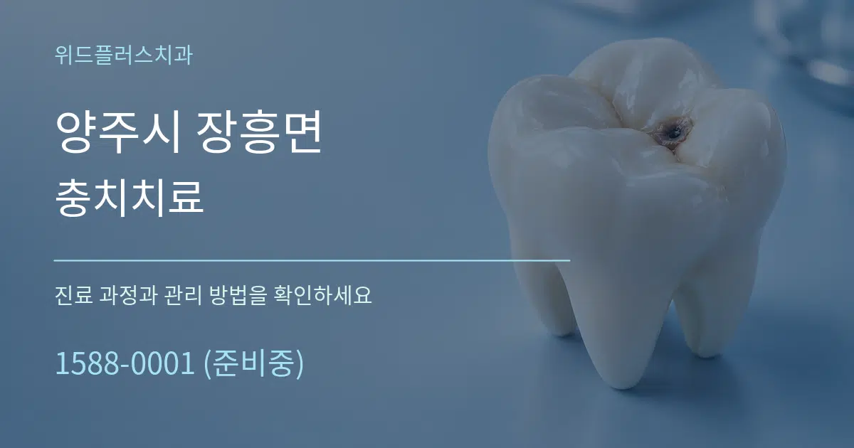 양주시 장흥면 충치치료 서비스 이용 안내 그래픽