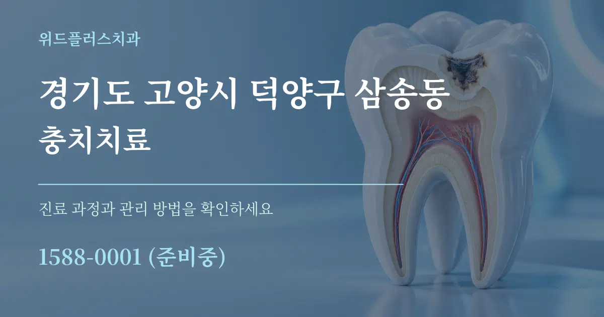 경기도 고양시 덕양구 삼송동 충치치료 서비스 이용 안내 그래픽