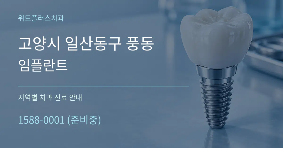 고양시 일산동구 풍동 임플란트 대표 안내 그래픽