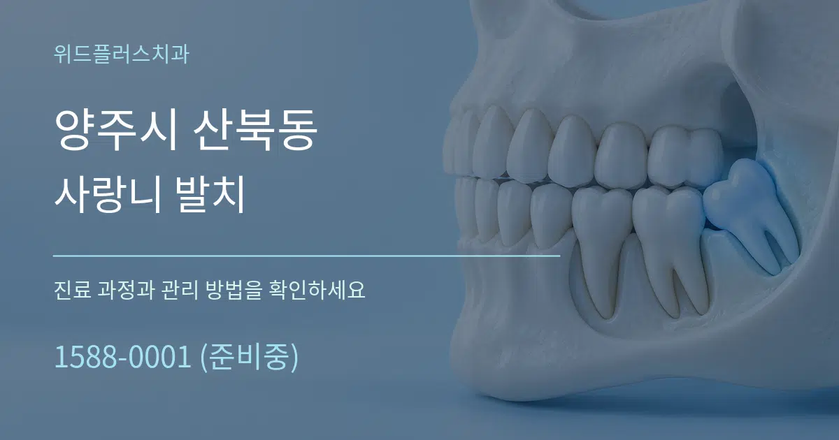 양주시 산북동 사랑니 발치 서비스 이용 안내 그래픽