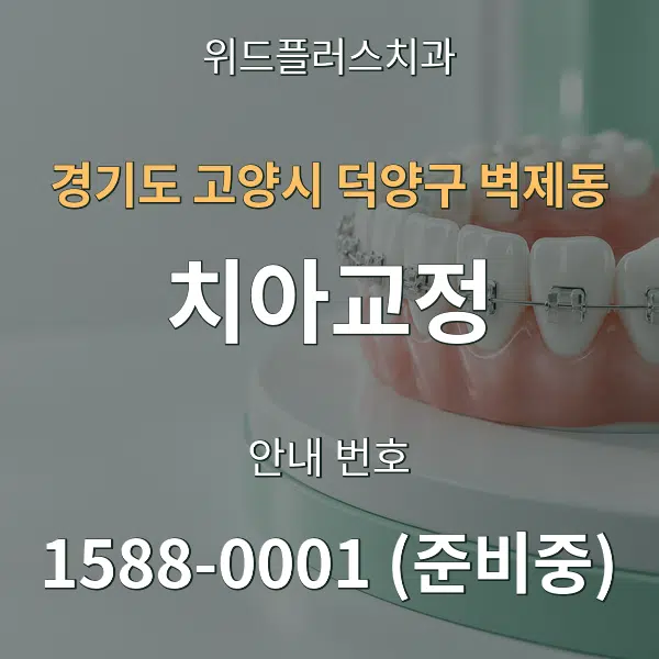 경기도 고양시 덕양구 벽제동 치아교정 대표 안내 그래픽