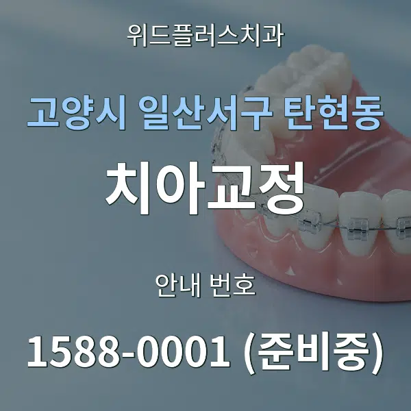 고양시 일산서구 탄현동 치아교정 대표 안내 그래픽