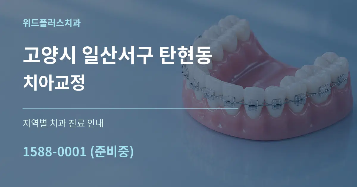 고양시 일산서구 탄현동 치아교정 대표 안내 그래픽