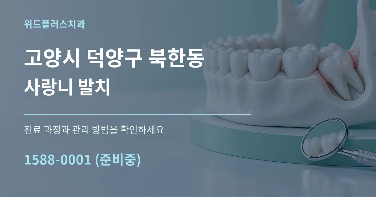 고양시 덕양구 북한동 사랑니 발치 작업 조건 안내 그래픽