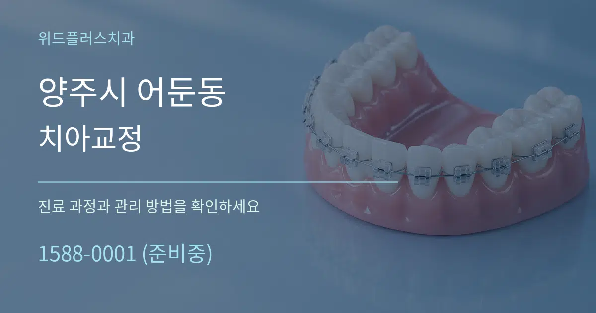 양주시 어둔동 치아교정 작업 조건 안내 그래픽