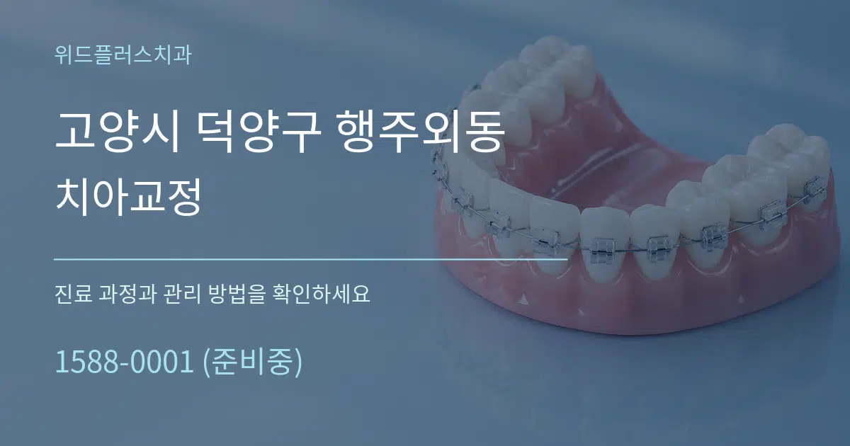 고양시 덕양구 행주외동 치아교정 작업 조건 안내 그래픽