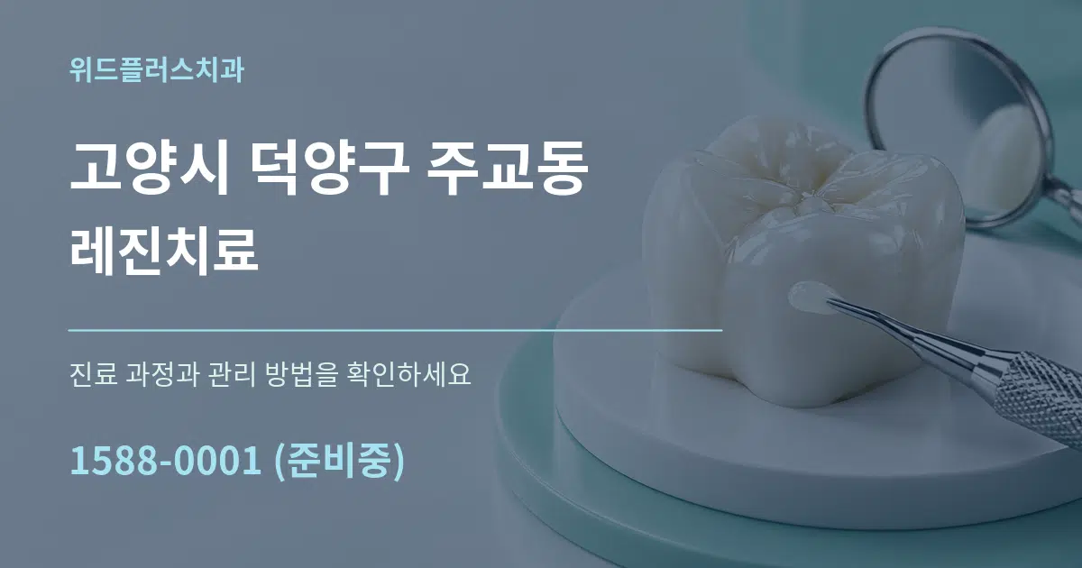고양시 덕양구 주교동 레진치료 작업 조건 안내 그래픽