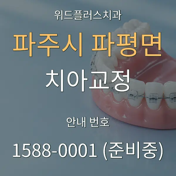 파주시 파평면 치아교정 대표 안내 그래픽