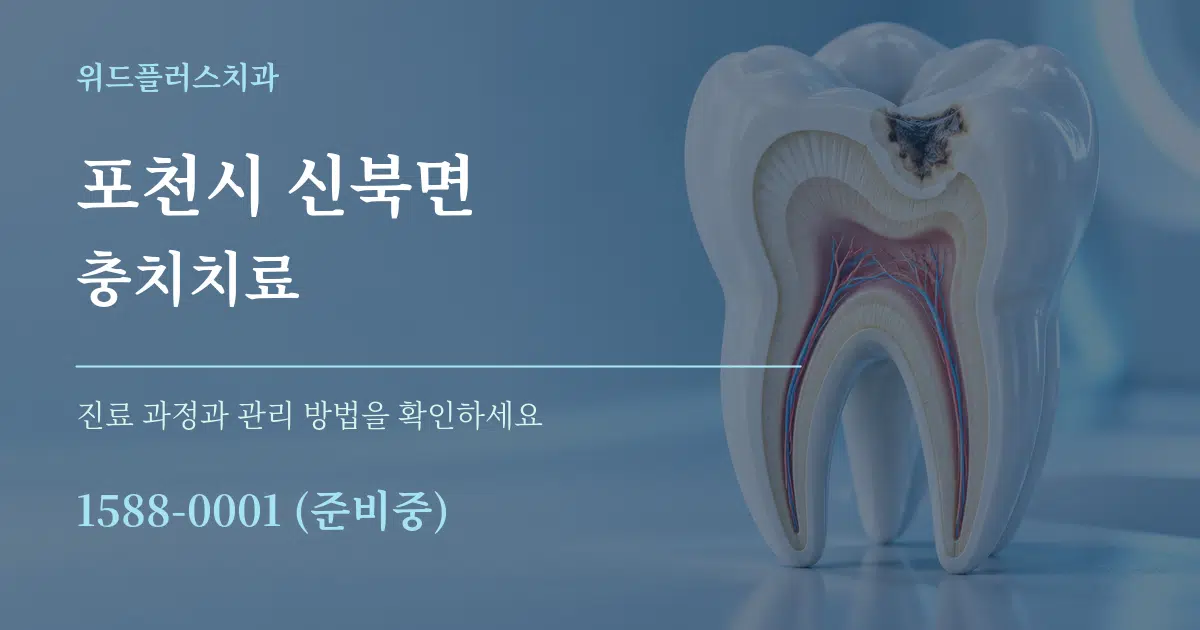 포천시 신북면 충치치료 작업 조건 안내 그래픽