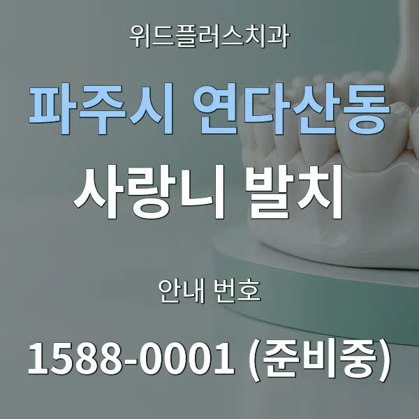 파주시 연다산동 사랑니 발치 대표 안내 그래픽