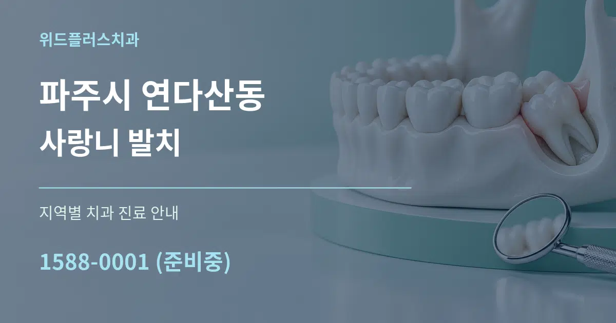 파주시 연다산동 사랑니 발치 대표 안내 그래픽