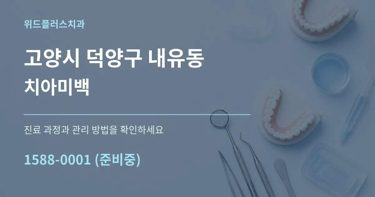 고양시 덕양구 내유동 치아미백 서비스 이용 안내 그래픽