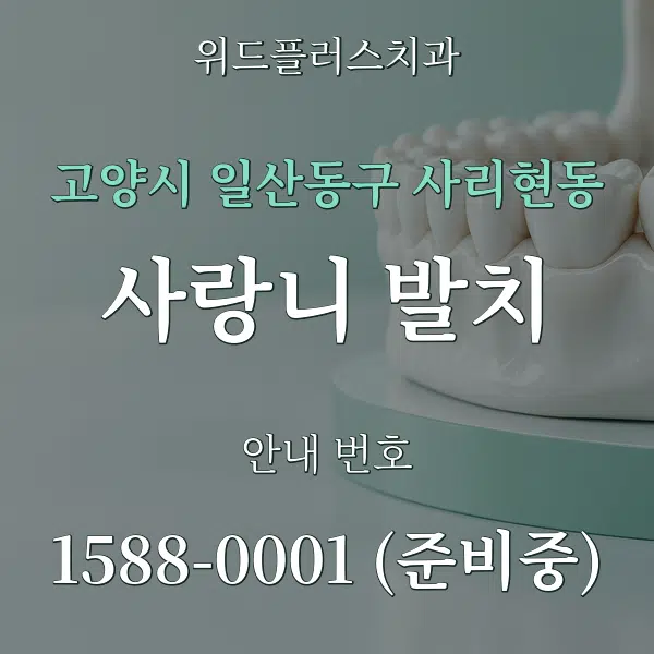 고양시 일산동구 사리현동 사랑니 발치 대표 안내 그래픽