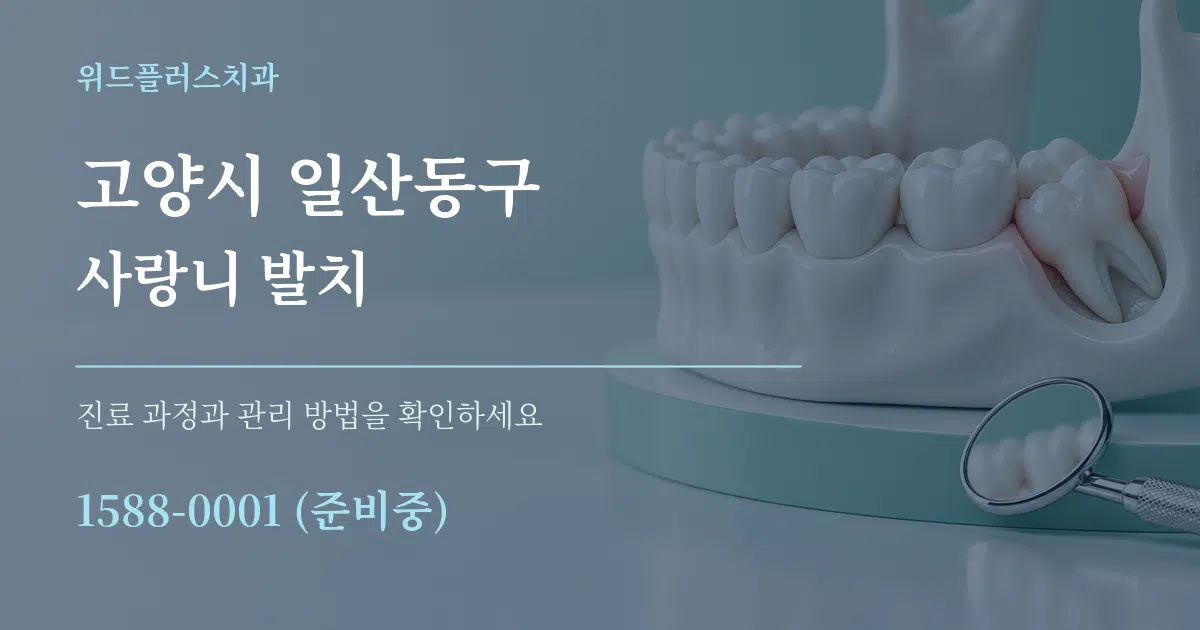 고양시 일산동구 사랑니 발치 작업 조건 안내 그래픽