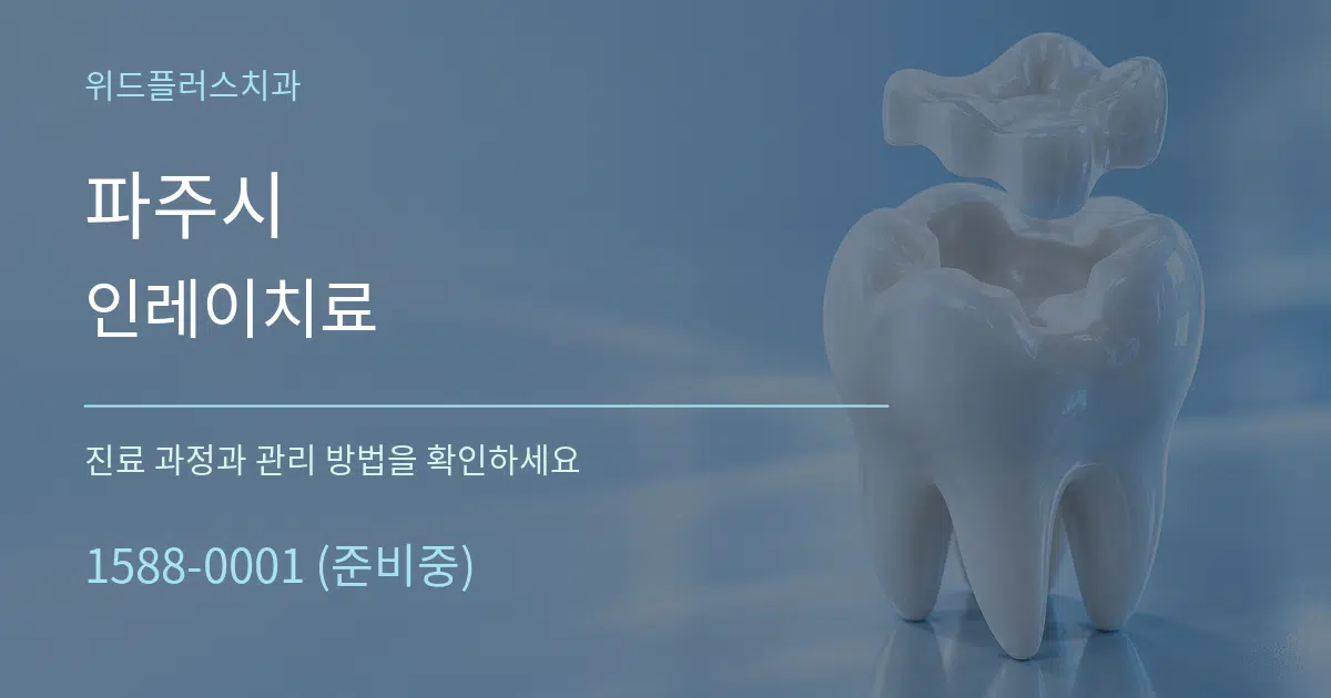 파주시 인레이치료 서비스 이용 안내 그래픽