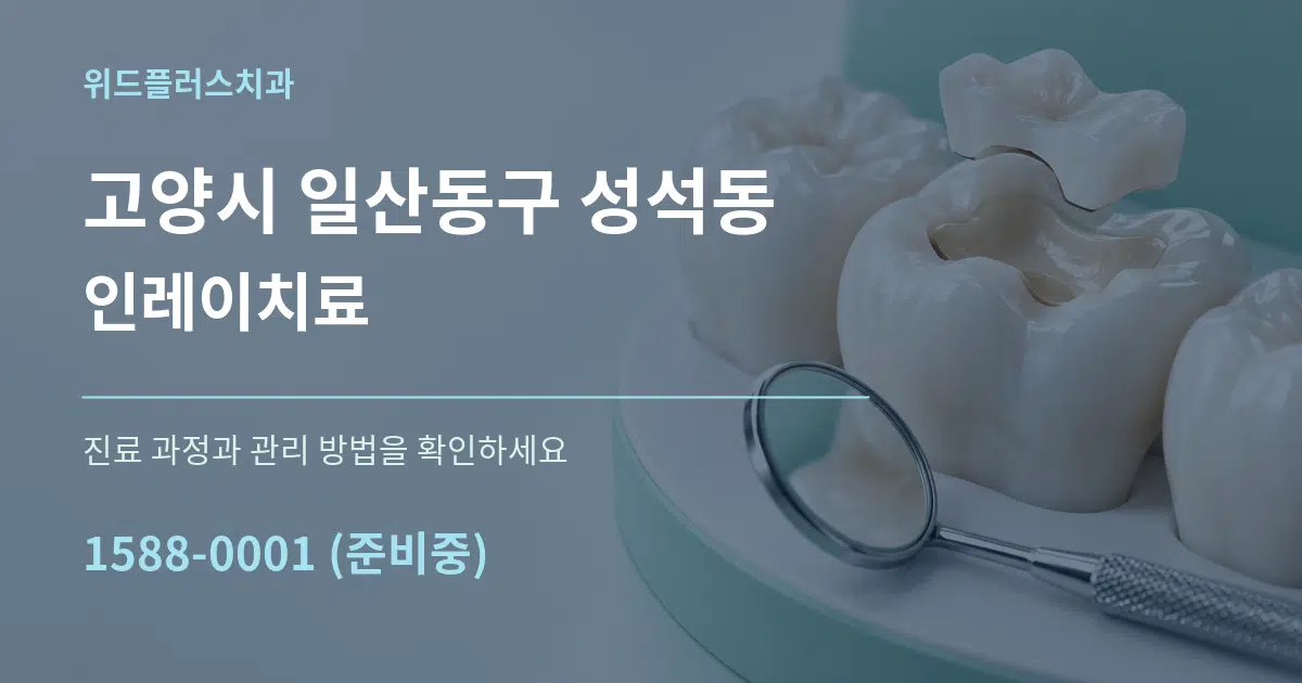 고양시 일산동구 성석동 인레이치료 서비스 이용 안내 그래픽