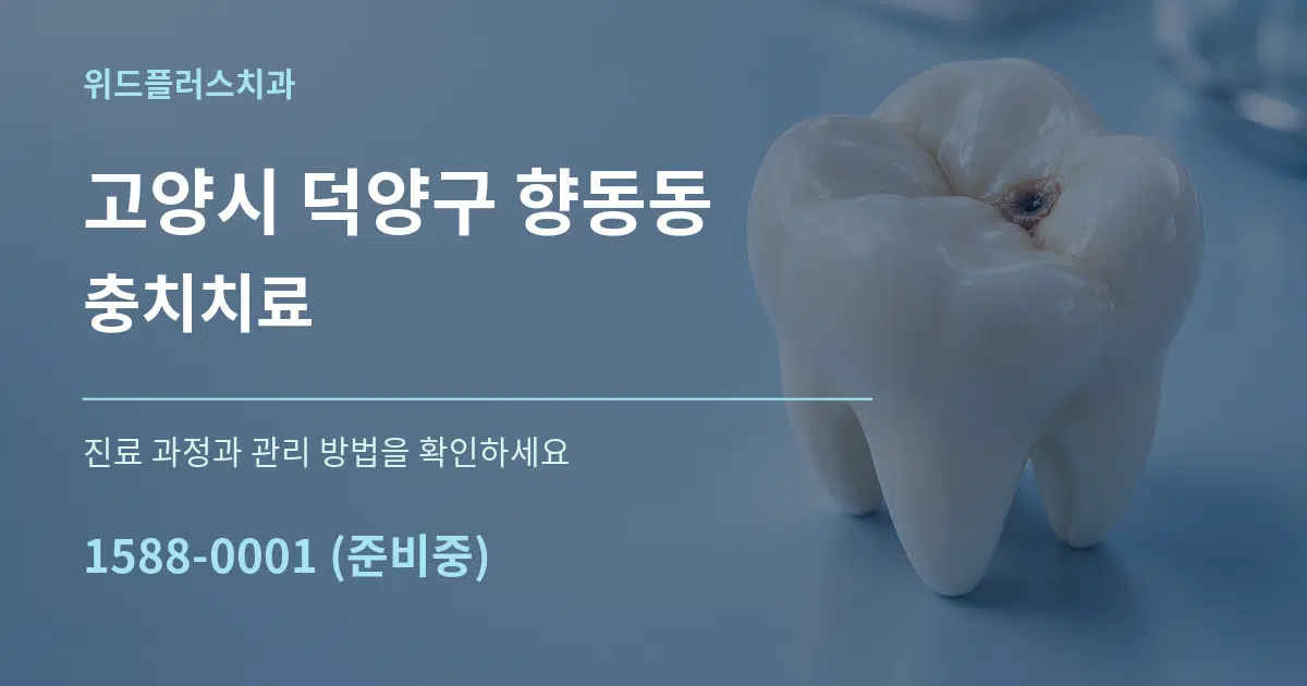고양시 덕양구 향동동 충치치료 작업 조건 안내 그래픽