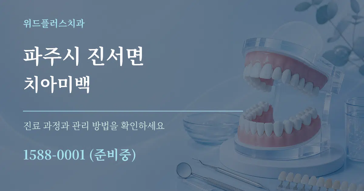 파주시 진서면 치아미백 서비스 이용 안내 그래픽