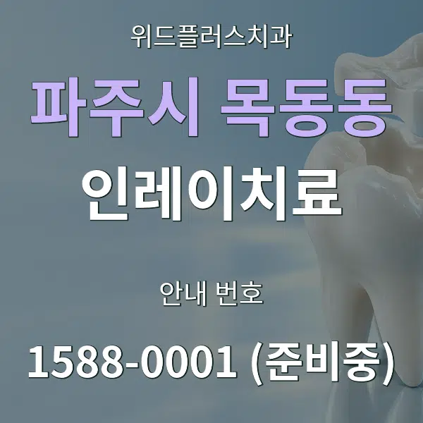 파주시 목동동 인레이치료 대표 안내 그래픽