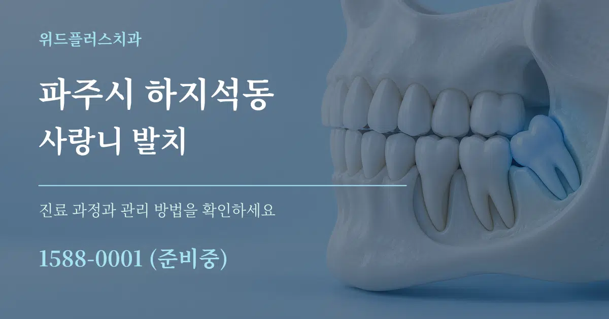 파주시 하지석동 사랑니 발치 서비스 이용 안내 그래픽