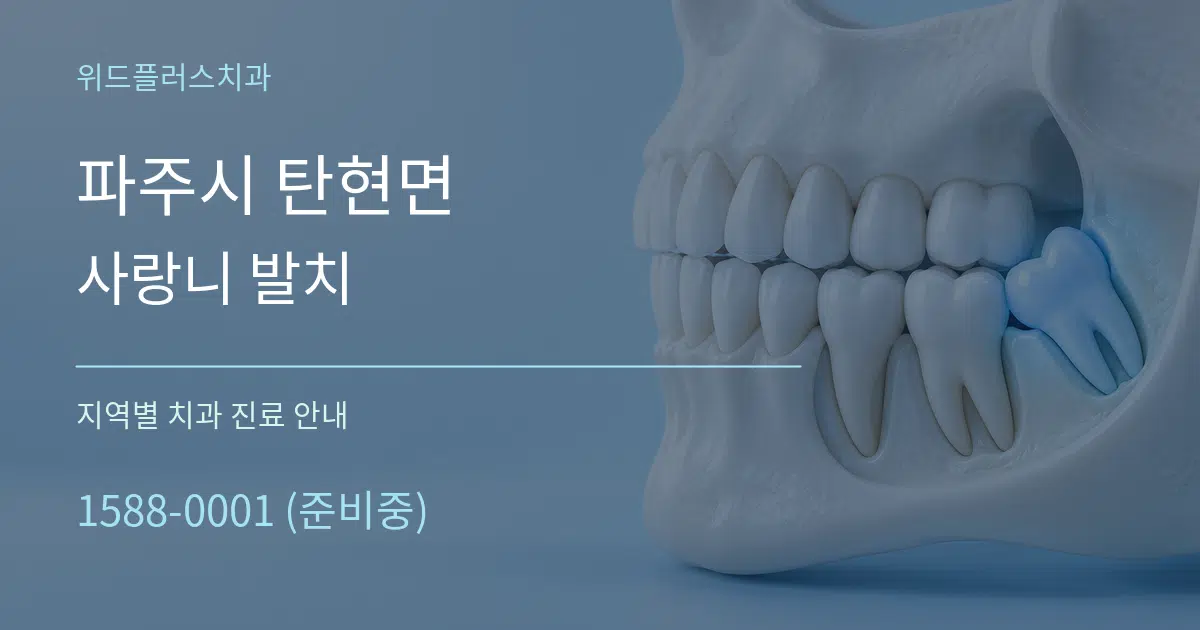 파주시 탄현면 사랑니 발치 대표 안내 그래픽