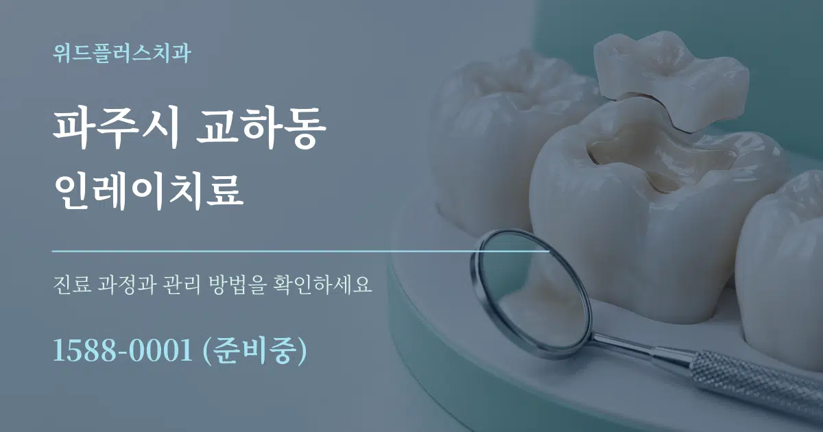 파주시 교하동 인레이치료 서비스 이용 안내 그래픽