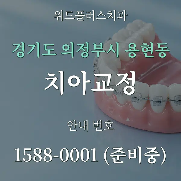 경기도 의정부시 용현동 치아교정 대표 안내 그래픽