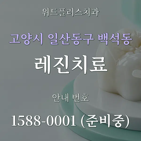 고양시 일산동구 백석동 레진치료 대표 안내 그래픽