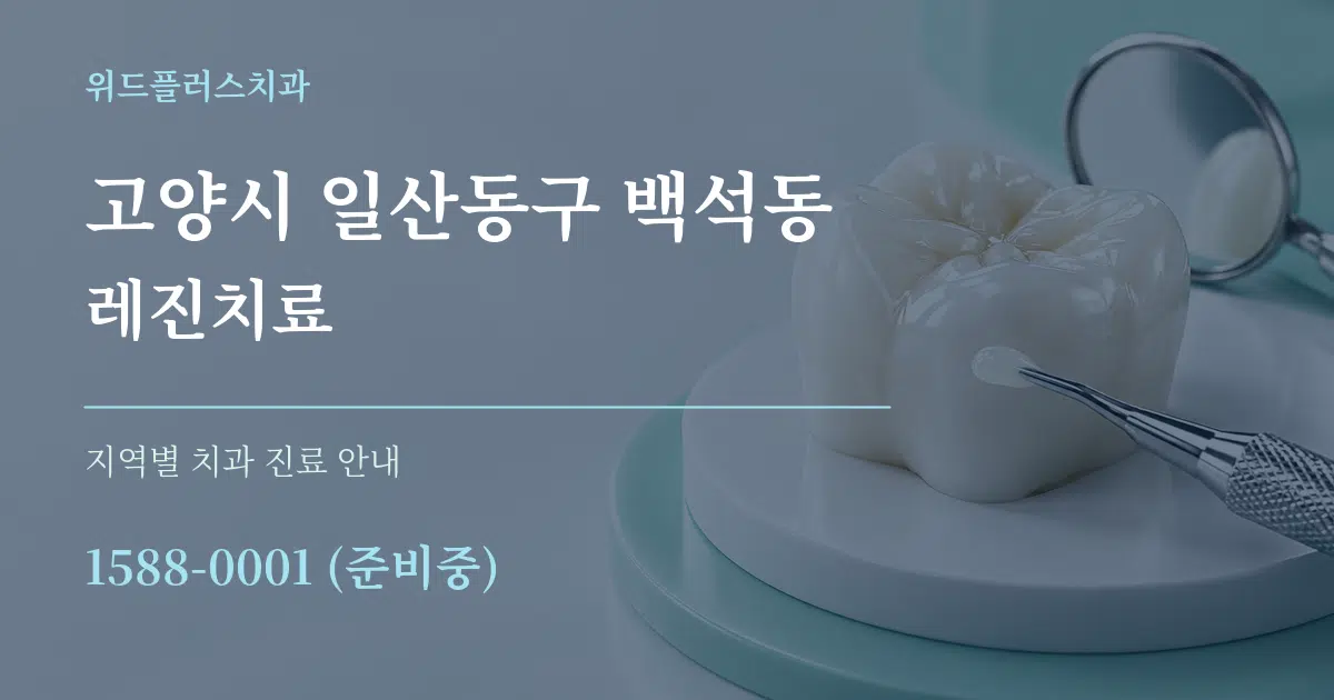 고양시 일산동구 백석동 레진치료 대표 안내 그래픽