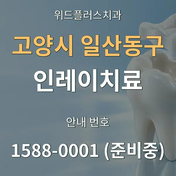 고양시 일산동구 인레이치료 대표 안내 그래픽