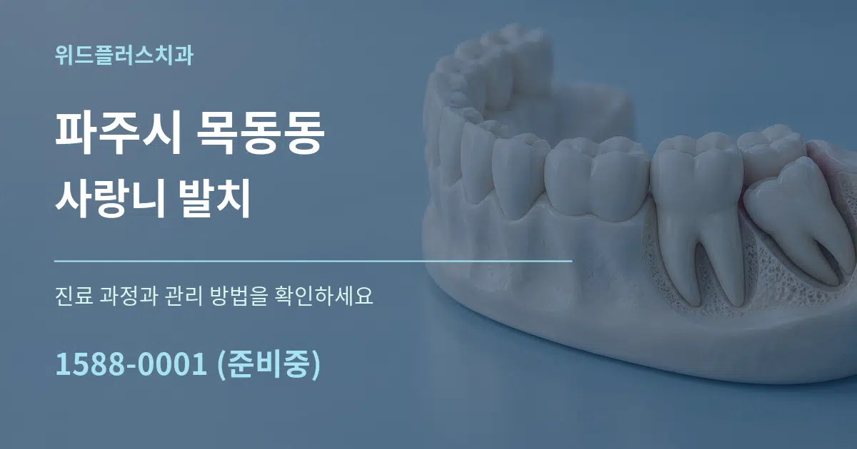 파주시 목동동 사랑니 발치 서비스 이용 안내 그래픽