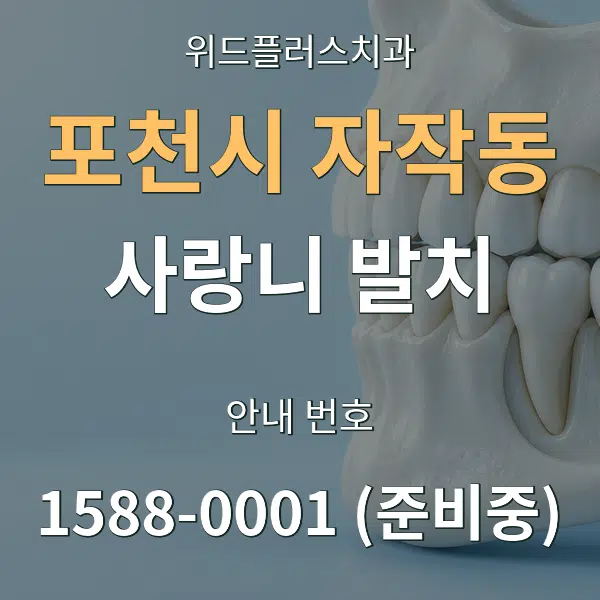 포천시 자작동 사랑니 발치 대표 안내 그래픽