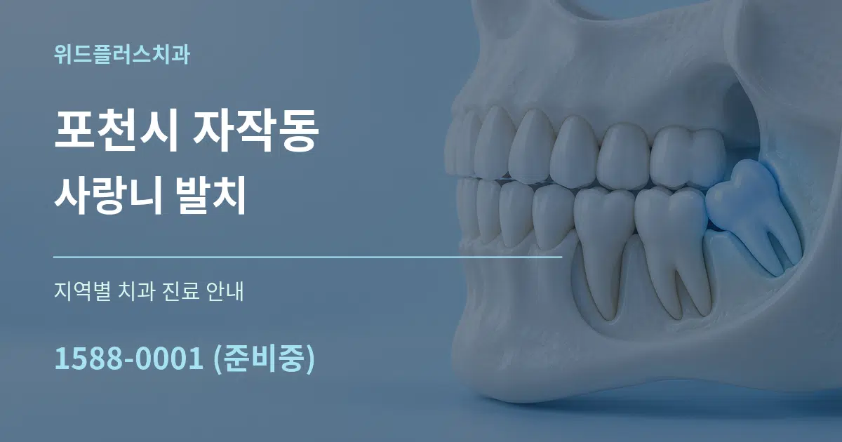포천시 자작동 사랑니 발치 대표 안내 그래픽
