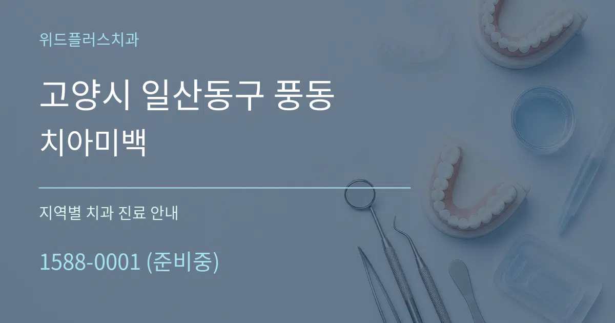 고양시 일산동구 풍동 치아미백 대표 안내 그래픽