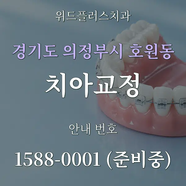 경기도 의정부시 호원동 치아교정 대표 안내 그래픽