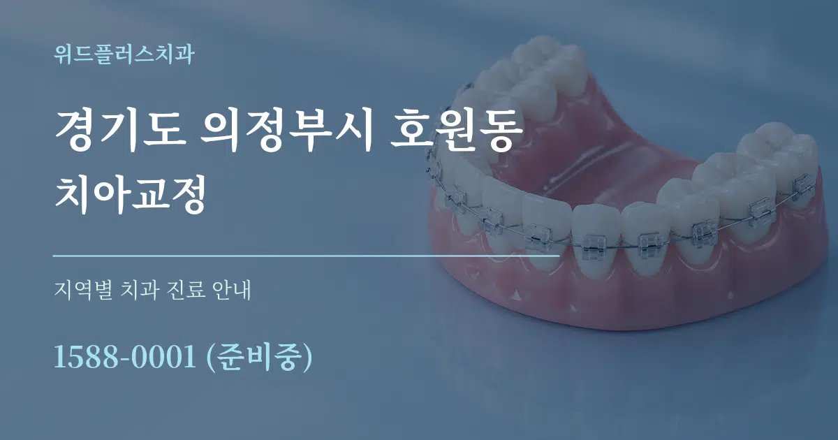 경기도 의정부시 호원동 치아교정 대표 안내 그래픽