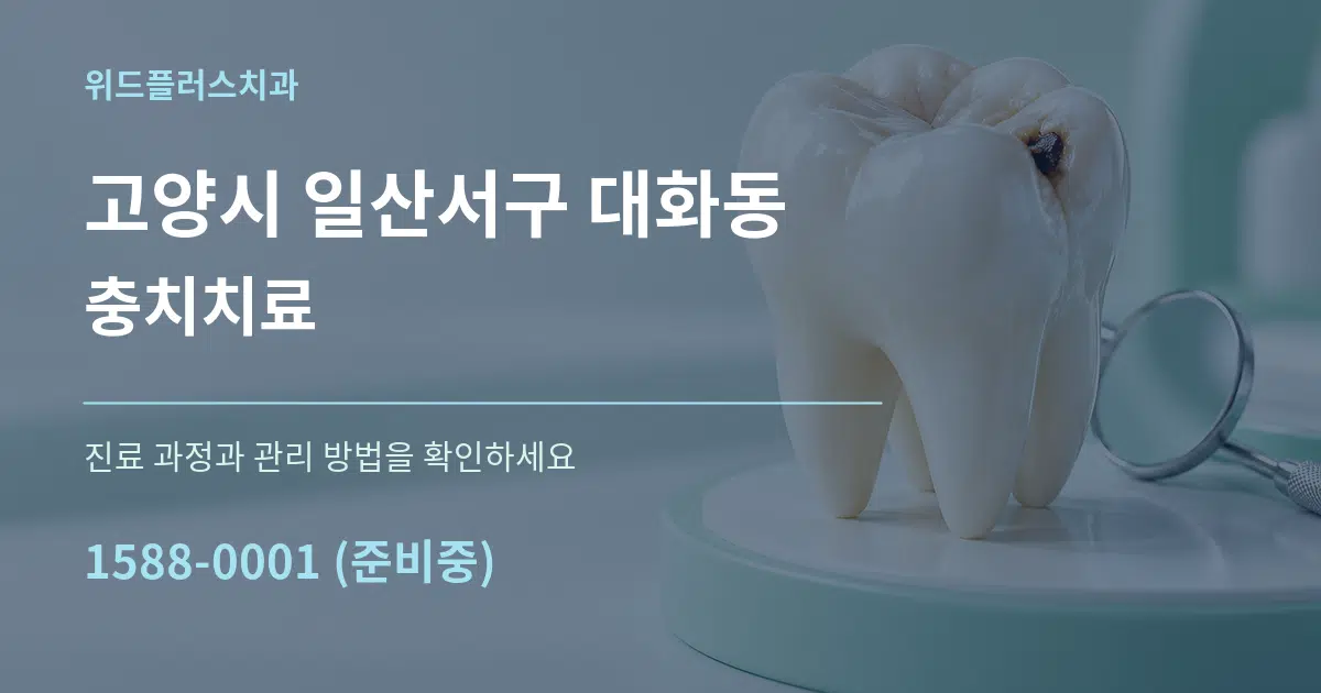 고양시 일산서구 대화동 충치치료 작업 조건 안내 그래픽