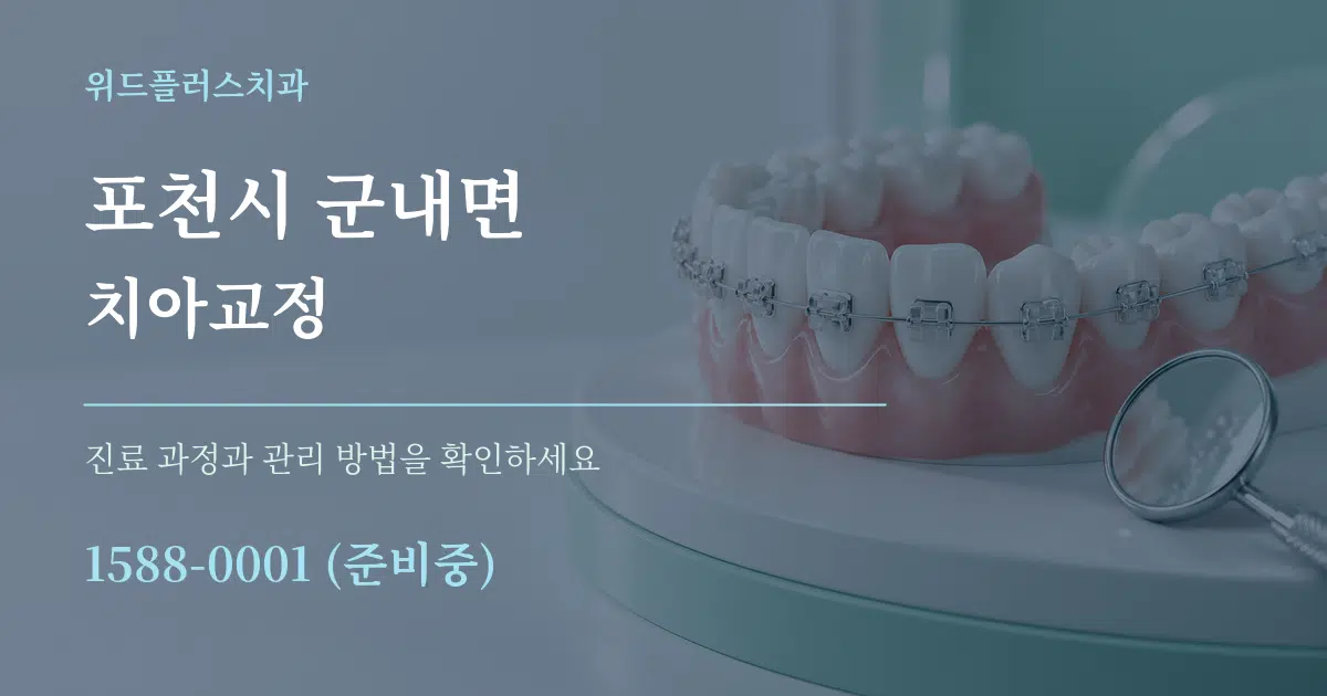 포천시 군내면 치아교정 서비스 이용 안내 그래픽