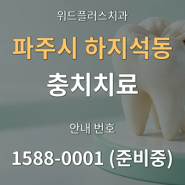 파주시 하지석동 충치치료 대표 안내 그래픽
