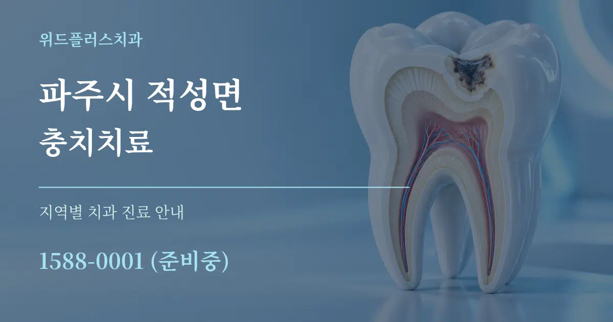 파주시 적성면 충치치료 대표 안내 그래픽