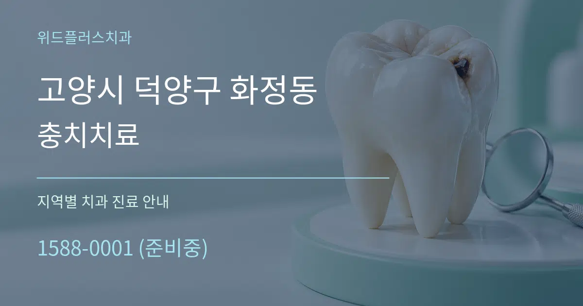 고양시 덕양구 화정동 충치치료 대표 안내 그래픽
