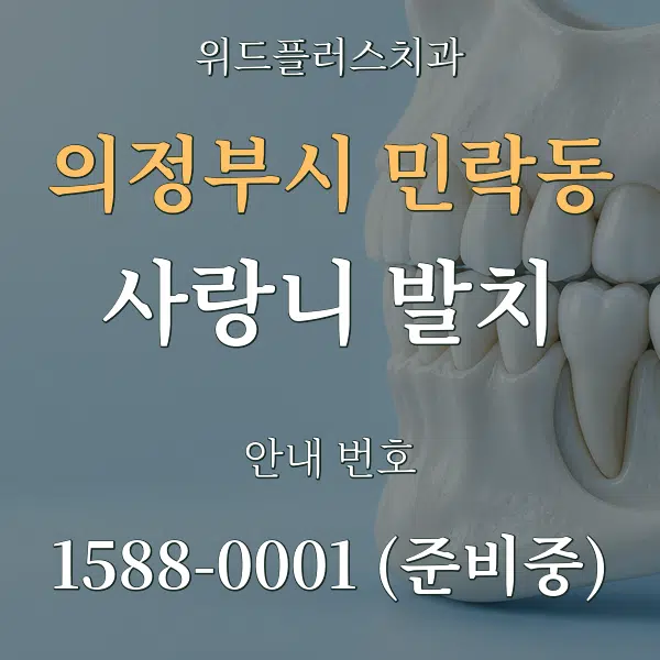 의정부시 민락동 사랑니 발치 대표 안내 그래픽